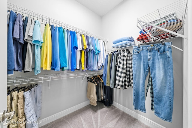 walk in closet featuring carpet