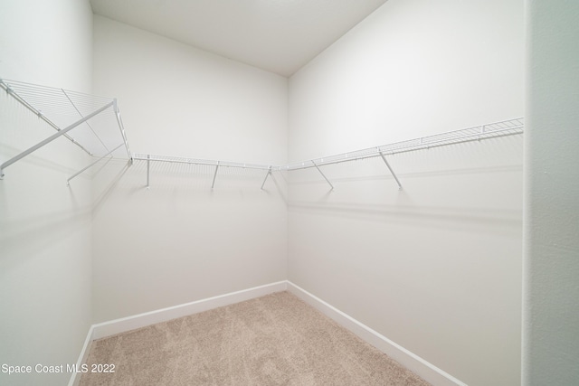 4280 Alamanda Key Dr, Melbourne, FL 32901 - walk in closet with carpet
