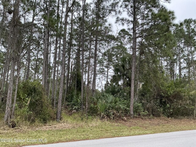 125 Santa Rosa Ave SW, Palm Bay, FL 32908