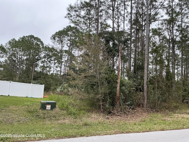 125 Santa Rosa Ave SW, Palm Bay, FL 32908