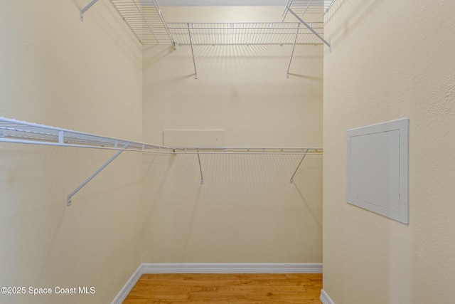 spacious closet featuring wood finished floors and electric panel