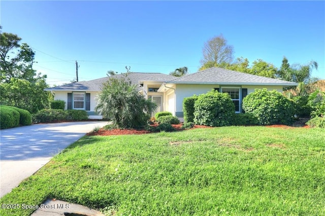 ranch-style home featuring driveway, stucco siding, and a front lawn