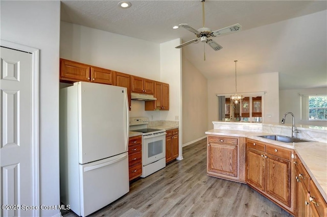 kitchen featuring ceiling fan with notable chandelier, white appliances, under cabinet range hood, light countertops, and a sink