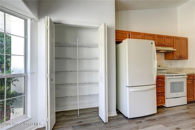 interior space with a wealth of natural light, light wood finished floors, white appliances, and under cabinet range hood