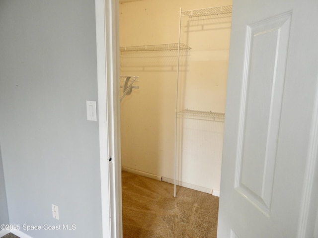 spacious closet with carpet
