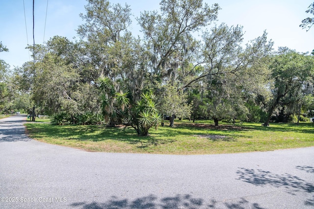 9959 Nicole Dr, Micco, FL 32976 - photo 35