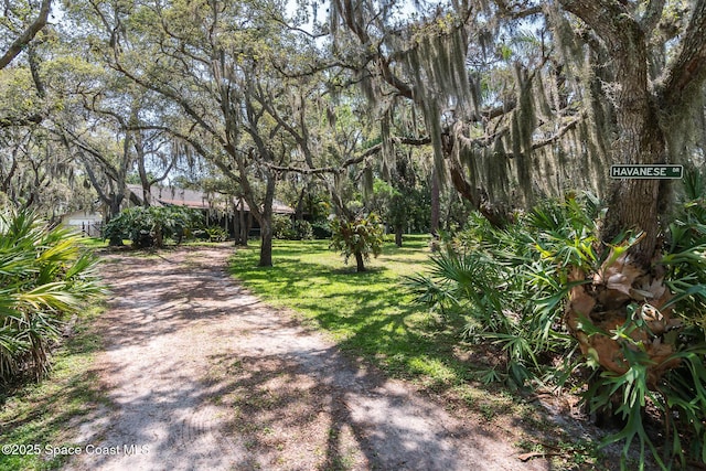 9959 Nicole Dr, Micco, FL 32976 - photo 43