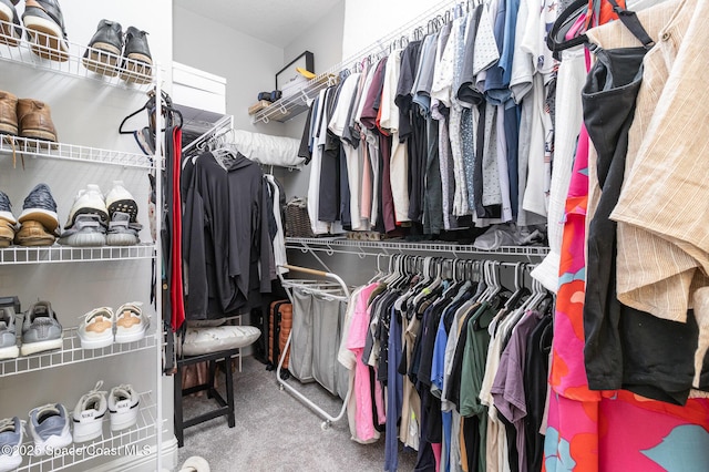 walk in closet with carpet floors