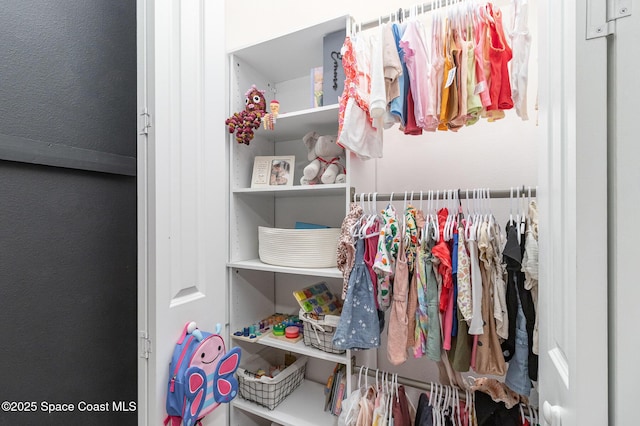 view of closet