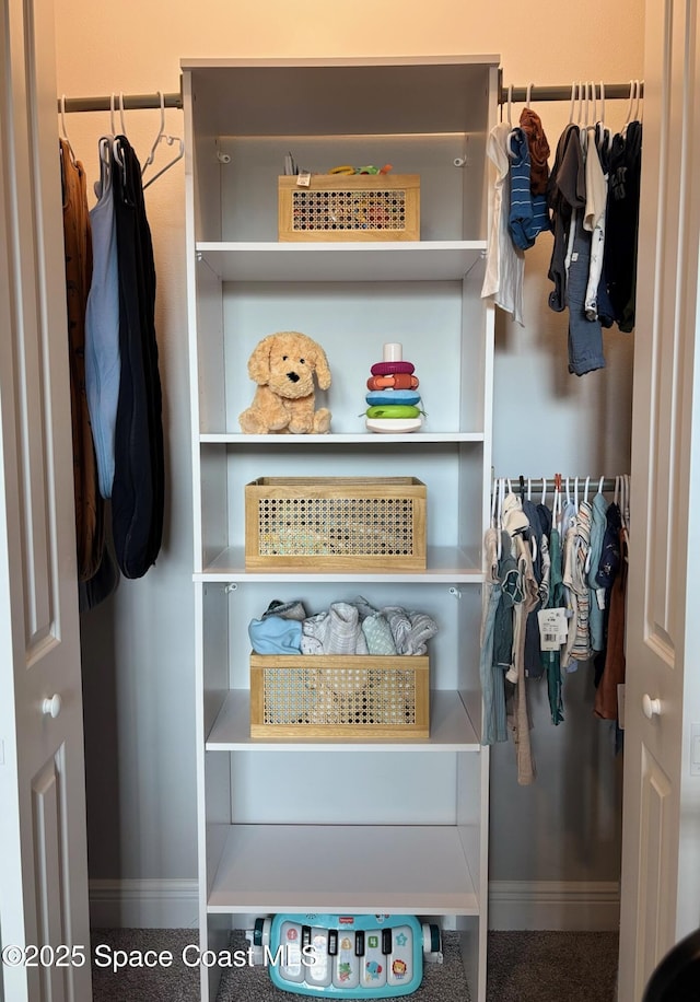 view of closet