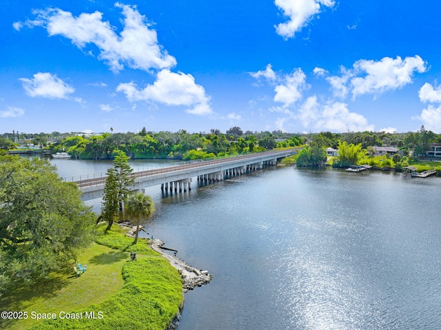 property view of water