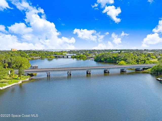 property view of water