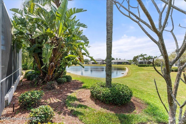 view of yard featuring a water view