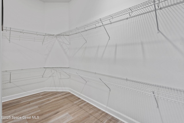 2631 Pinwherry St NW, Palm Bay, FL 32907 - walk in closet featuring wood finished floors