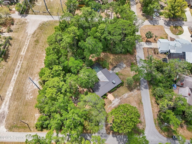 drone / aerial view