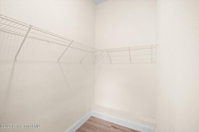 1800 Elmwood Dr, Melbourne, FL 32935 - spacious closet featuring wood finished floors