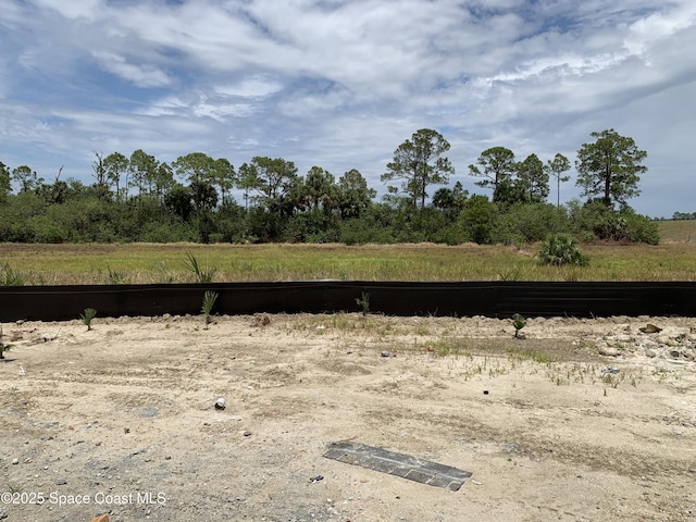 view of local wilderness featuring a rural view