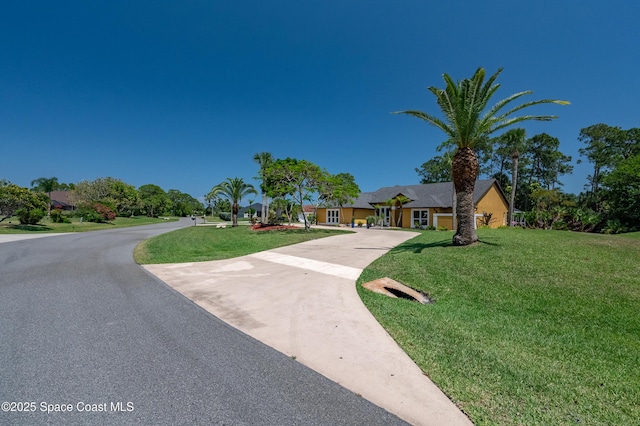 ranch-style house featuring driveway and a front yard