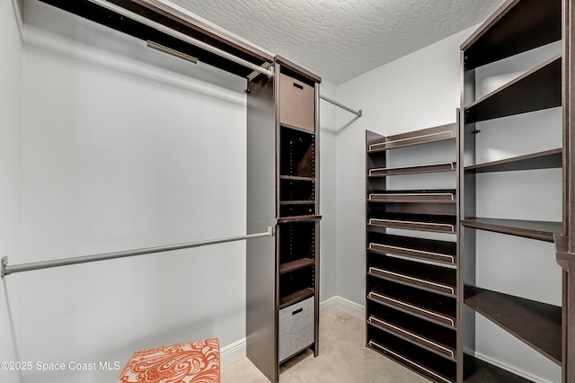 view of walk in closet