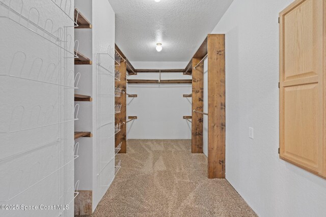 4000 Ocala St, Cocoa, FL 32926 - walk in closet featuring carpet flooring
