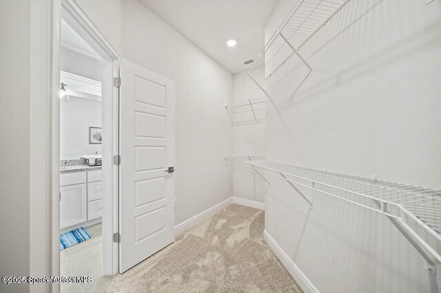 walk in closet with light colored carpet