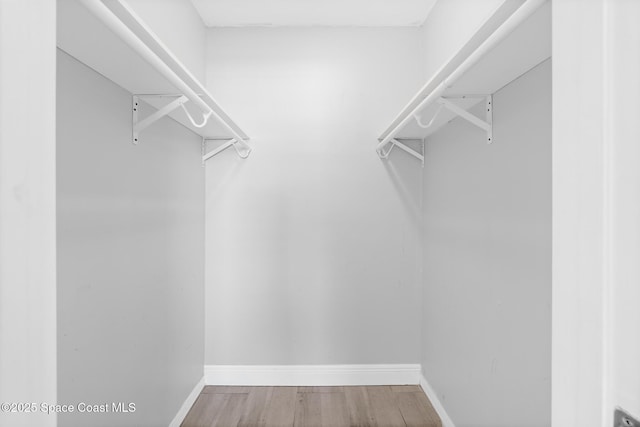 spacious closet featuring wood finished floors