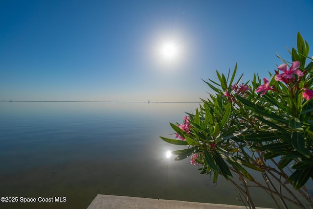 property view of water