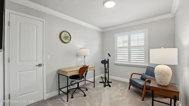 235 Northgrove Dr, Merritt Island, FL 32953 - office with carpet flooring, a textured ceiling, baseboards, and crown molding