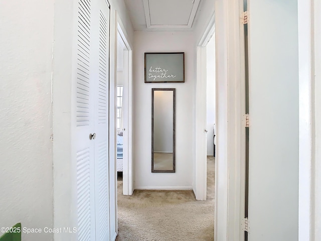 hallway featuring attic access, baseboards, and carpet floors