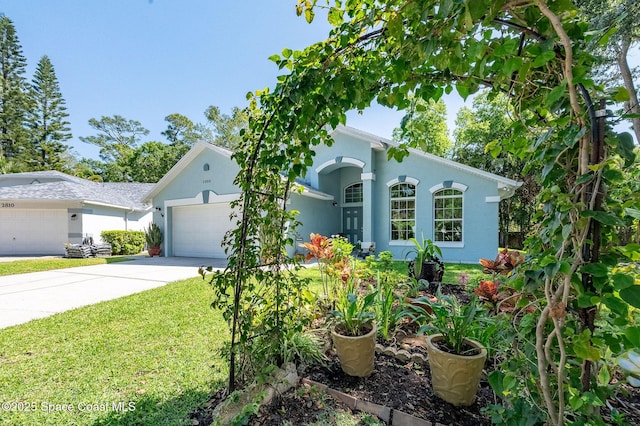 ranch-style house featuring an attached garage, a front lawn, driveway, and stucco siding