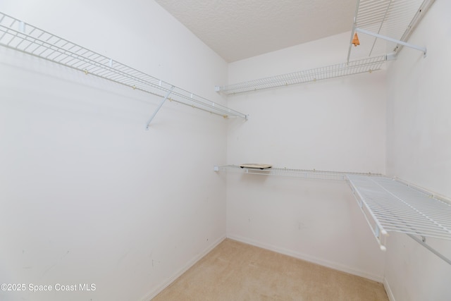 1872 Crane Creek Blvd, Melbourne, FL 32940 - spacious closet featuring light carpet