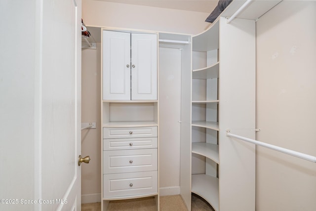 1472 Bent Palm Dr, Merritt Island, FL 32952 - walk in closet featuring light carpet