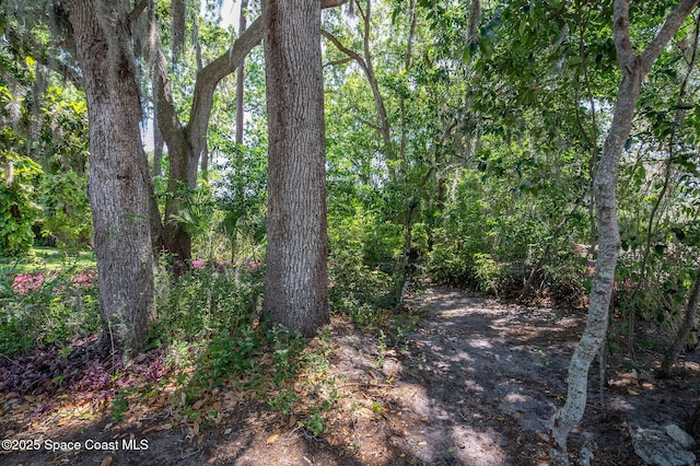 2790 La Cita Ln, Titusville, FL 32780 - photo 6