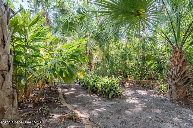 2790 La Cita Ln, Titusville, FL 32780 - photo 8
