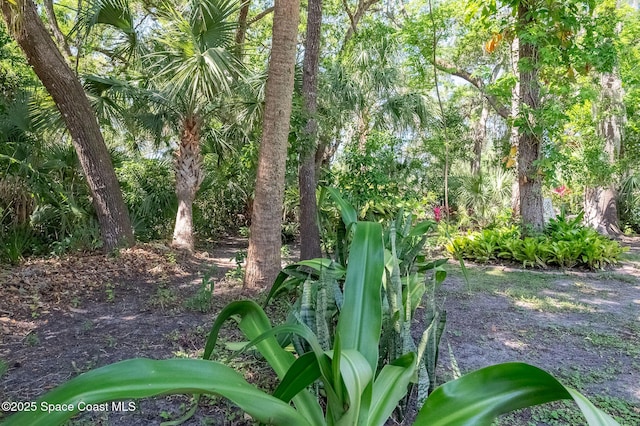 2790 La Cita Ln, Titusville, FL 32780 - photo 5