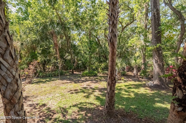 2790 La Cita Ln, Titusville, FL 32780 - photo 10