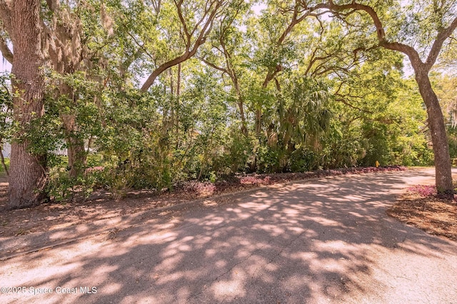 2790 La Cita Ln, Titusville, FL 32780 - photo 12
