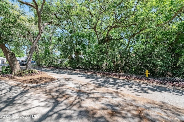 2790 La Cita Ln, Titusville, FL 32780 - photo 13