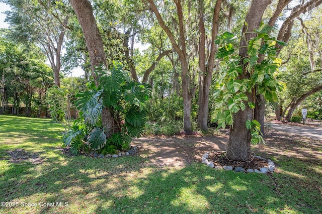 2790 La Cita Ln, Titusville, FL 32780 - photo 1