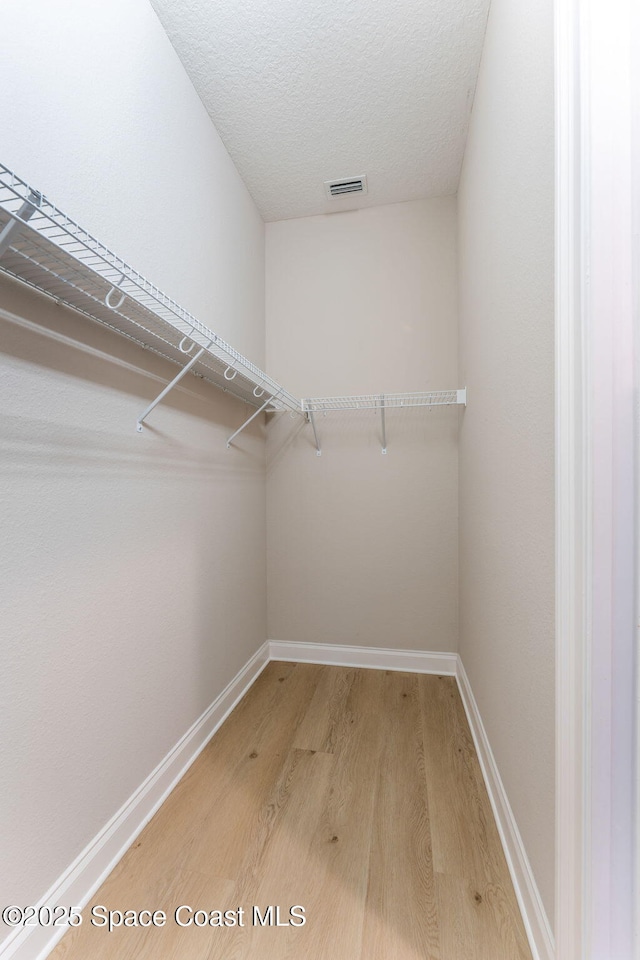 walk in closet with visible vents and light wood-type flooring