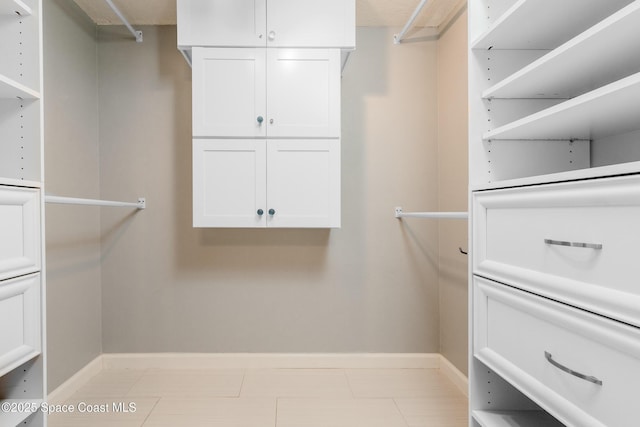 view of walk in closet