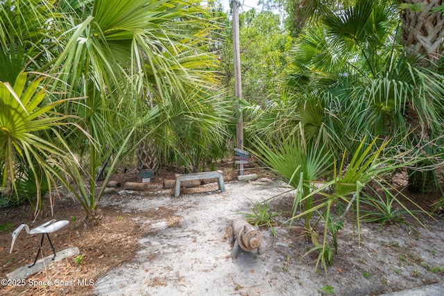 view of local wilderness