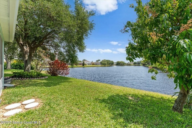 3871 La Flor Dr, Rockledge, FL 32955 - property view of water
