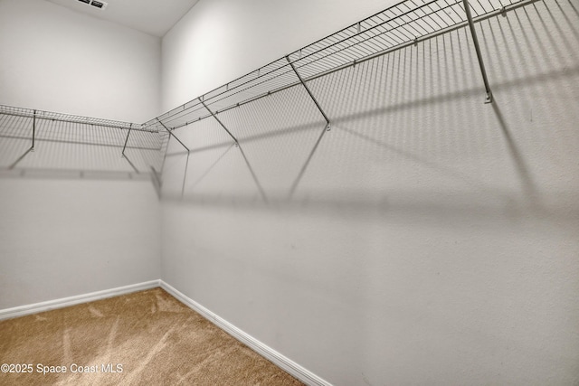 walk in closet with carpet