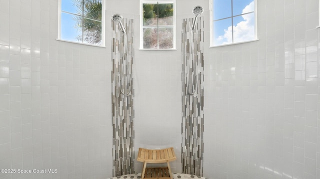 3630 Kite St, Titusville, FL 32796 - full bath featuring a walk in shower