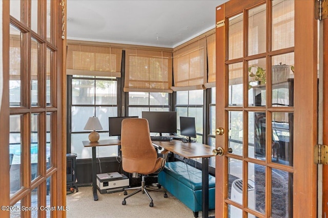 2873 Sanders Ct, Melbourne, FL 32935 - office with carpet floors and french doors