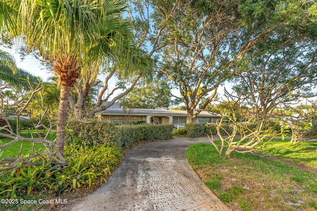 ranch-style house with driveway