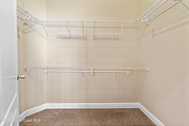 1298 Etruscan Way Unit 119, Indian Harbour Beach, FL 32937 - spacious closet featuring carpet flooring