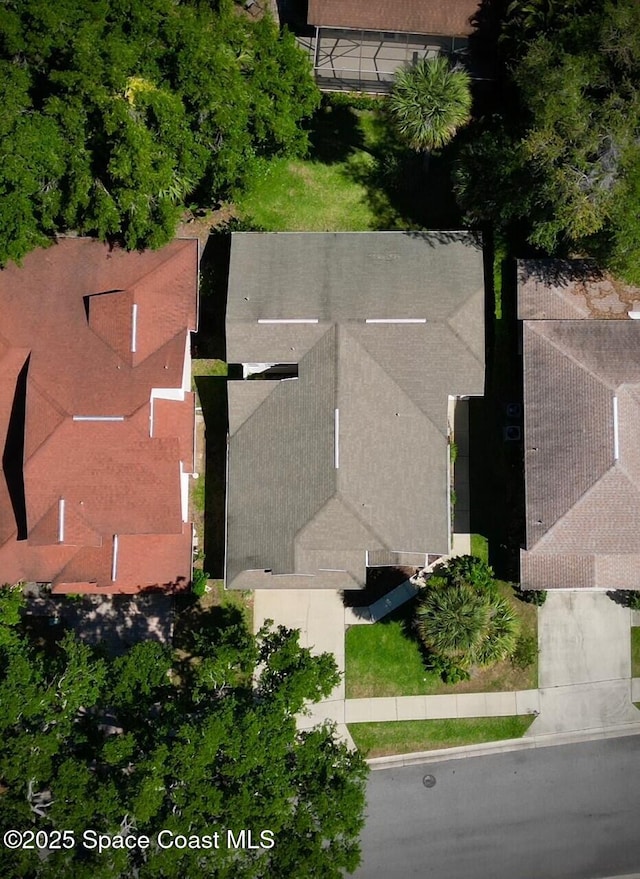 aerial view