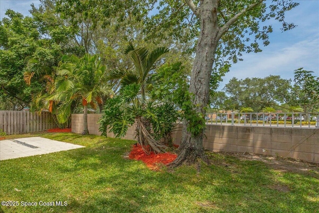 7016 Hammock Trace Dr, Melbourne, FL 32940 - view of yard with a patio area
